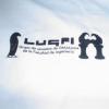  El logo del LugFi quedó buenísimo en todas las remeras.
